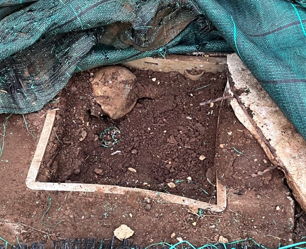 Installation de votre fourreau fibre-optique en Guadeloupe dans un regard Télécom obstrué